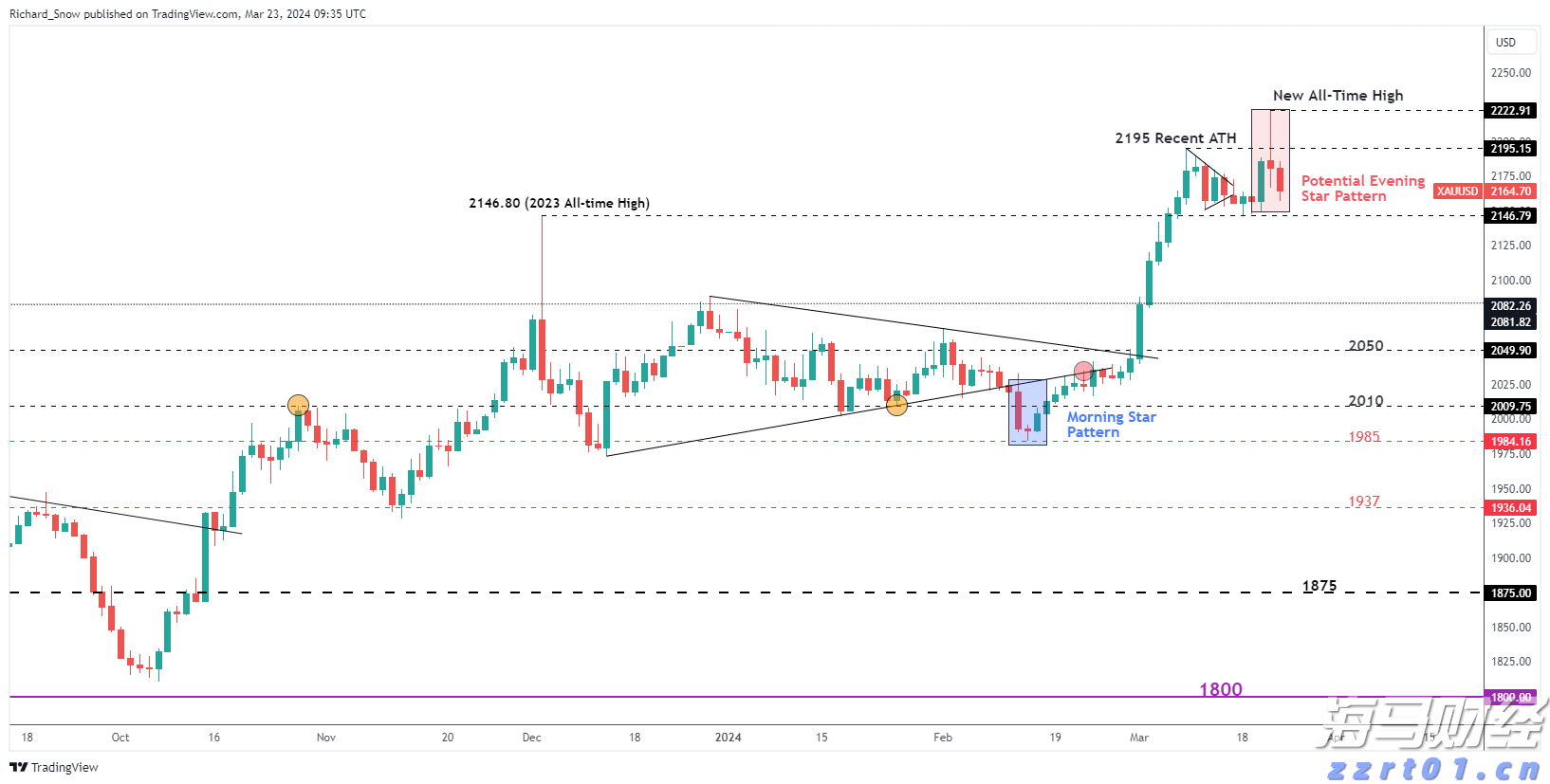 “稀客”紫背椋鸟到访福建