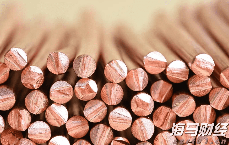 遛狗没牵绳引发冲突，致人右眼受伤！宠物主人获刑