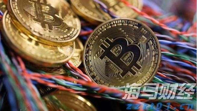 小型猪场简易排污处理方案设计（小型猪场最简单的污水处理方法分享）