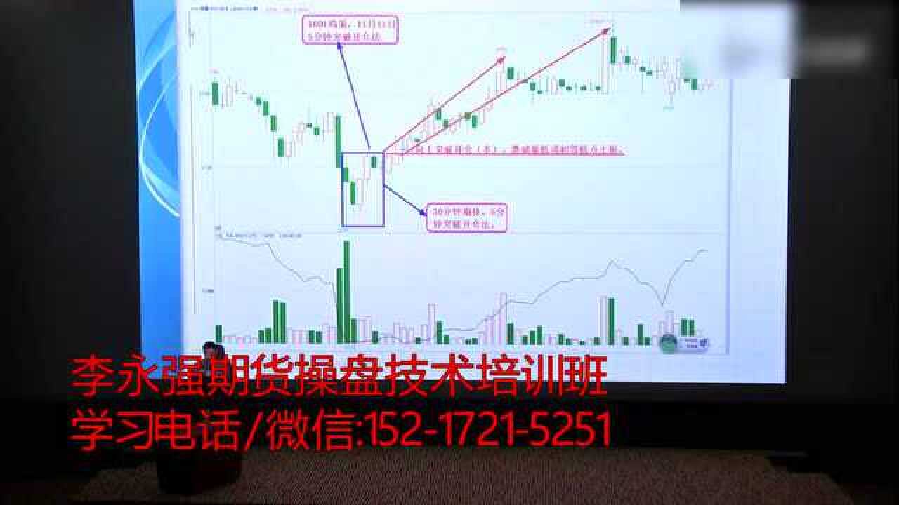 首批美丽广东生态文旅线路名单公布  湛江有1条线路榜上有名