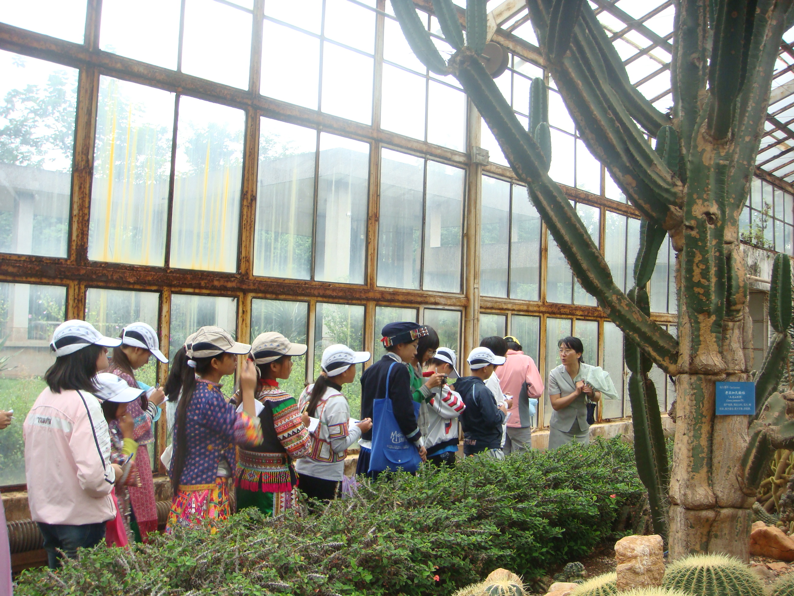 前三季度福建口岸出入境旅客超572万人次
